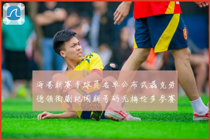 海港新赛季球员名单公布武磊克劳德领衔蒯纪闻新号码无梅伦多参赛