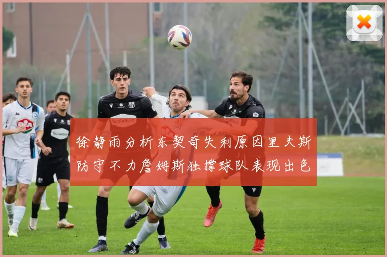 徐静雨分析东契奇失利原因里夫斯防守不力詹姆斯独撑球队表现出色
